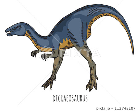 Dicraeosaurus color sketch. Ancient reptile. Dinosaur color drawing Dicraeosaurus color sketch. Ancient reptile. Dinosaur color drawing 112748107