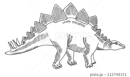 Stegosaurus sketch. Ancient giant herbivore. Dinosaur drawing Stegosaurus sketch. Ancient giant herbivore. Dinosaur drawing 112748151