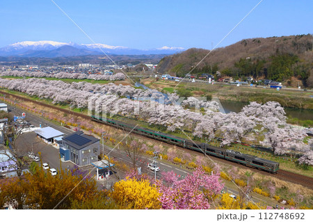 白石川堤一目千本桜を行く東北本線701系（仙台地区） 112748692