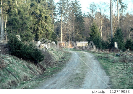 dirt road in the forest dirt road in the forest 112749088