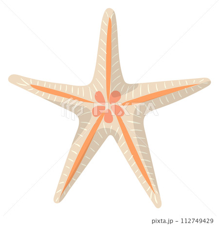 Starfish color icon. Sea beach animal symbol Starfish color icon. Sea beach animal symbol 112749429