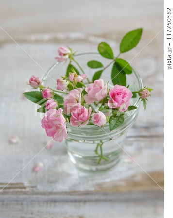 白板にピンクのミニ薔薇 白板にピンクのミニ薔薇 112750582