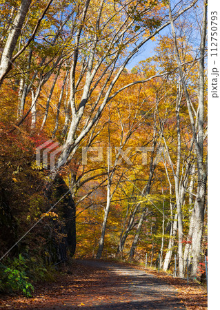 秋の谷川岳 紅葉見頃のハイキングコース 秋の谷川岳 紅葉見頃のハイキングコース 112750793