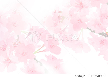 淡い水彩風の桜のイラスト 淡い水彩風の桜のイラスト 112750902