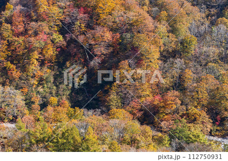 秋の谷川岳　紅葉見頃のハイキングコース 112750931