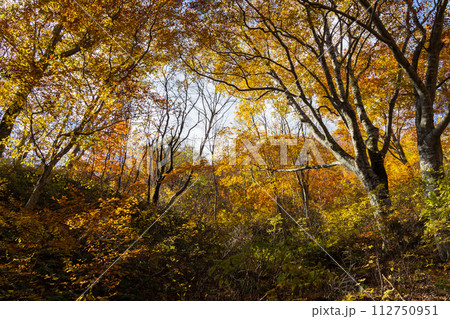 秋の谷川岳 紅葉見頃のハイキングコース 秋の谷川岳 紅葉見頃のハイキングコース 112750951