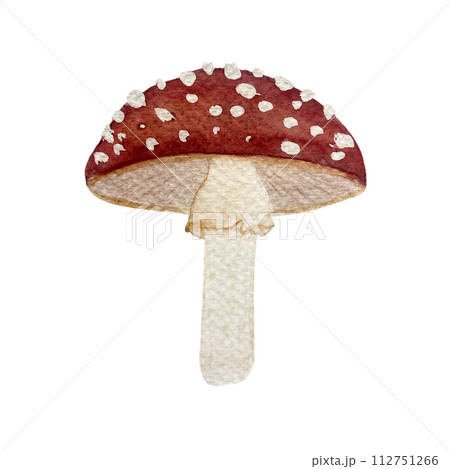 Watercolor hand drawn fly agaric with red cap with white spots illustration isolated on white 112751266