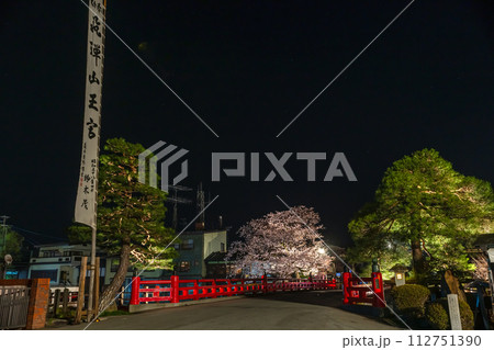 230412中橋夜桜z154 230412中橋夜桜z154 112751390