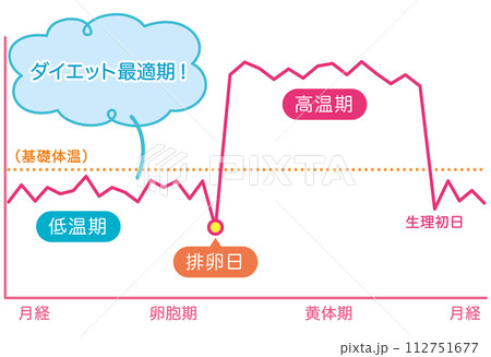 月経周期　ダイエット最適期　基礎体温のグラフ 112751677
