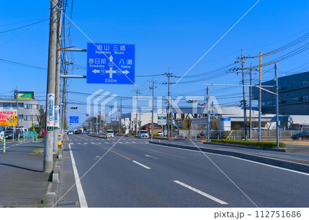 埼玉県越谷市越谷流山線沿線2024年3月 112751686