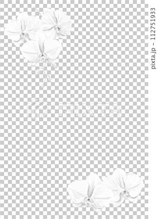 Monochrome Phalaenopsis orchid mourning postcard template 112751933