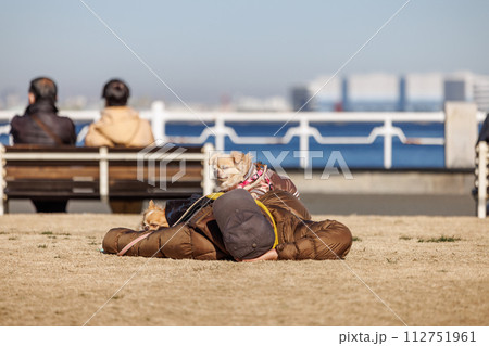 冬の暖かい日に公園の芝生の上で昼寝をする人と愛犬 112751961