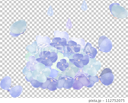 繡球花和蝴蝶畫水彩的插圖 繡球花和蝴蝶畫水彩的插圖 112752075