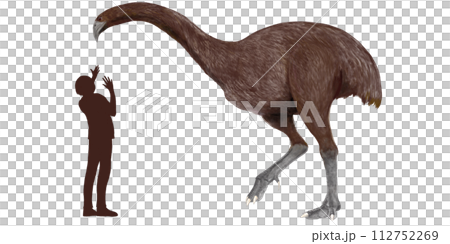 ジャイアントモア　絶滅したダチョウの仲間。古今の鳥類で最も背が高かった。 112752269