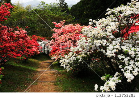 笠間つつじ公園 笠間つつじ公園 112752283