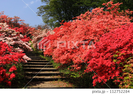 笠間つつじ公園 112752284
