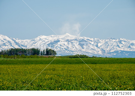 春の晴れた日の草原と残雪の山並み　十勝岳 112752303