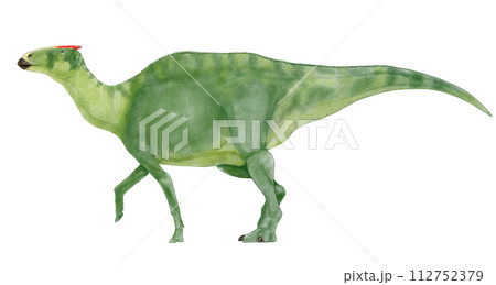 カムイサウルス(むかわ竜）ハドロサウルスの起源にかかわる日本産の新種として記載　 112752379