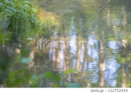森の新緑と清流　蒜山高原　塩釜 112752434