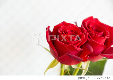赤い薔薇 112752612