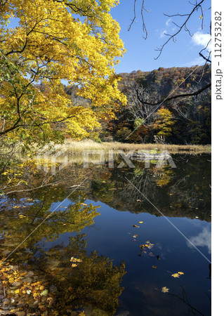 紅葉真っ盛りの医王山県立自然公園 112753282