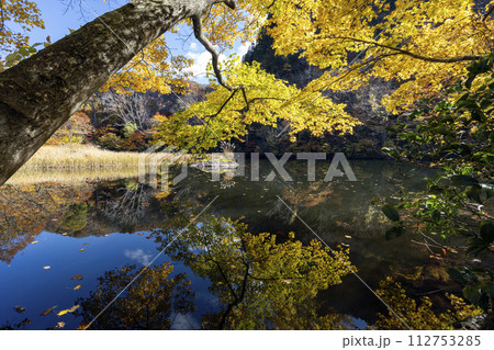 紅葉真っ盛りの医王山県立自然公園 紅葉真っ盛りの医王山県立自然公園 112753285