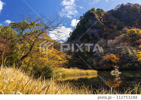 紅葉真っ盛りの医王山県立自然公園・大沼と鳶岩 112753288