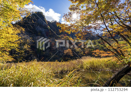紅葉真っ盛りの医王山県立自然公園・大沼と鳶岩 112753294
