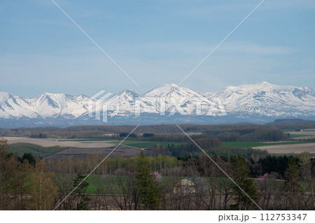 桜が咲く畑作地帯と残雪の山並み　十勝岳連峰 112753347