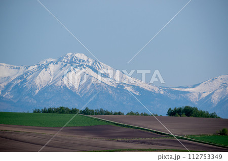 春の緑の牧草畑と残雪の山 十勝岳連峰 春の緑の牧草畑と残雪の山 十勝岳連峰 112753349