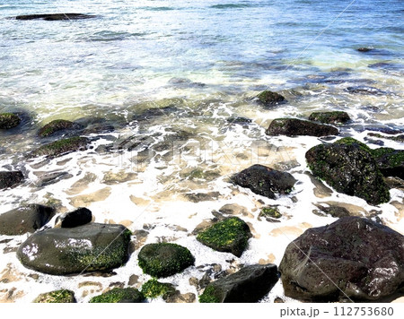 『ハワイ』ハレイワビーチの風景 112753680