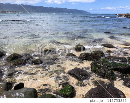 『ハワイ』ハレイワビーチの風景 『ハワイ』ハレイワビーチの風景 112753833