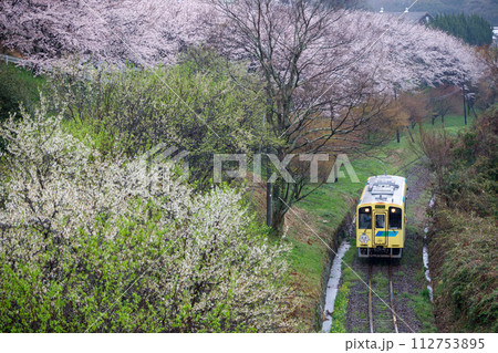 桜のトンネルを走る列車（平成筑豊鉄道） 112753895
