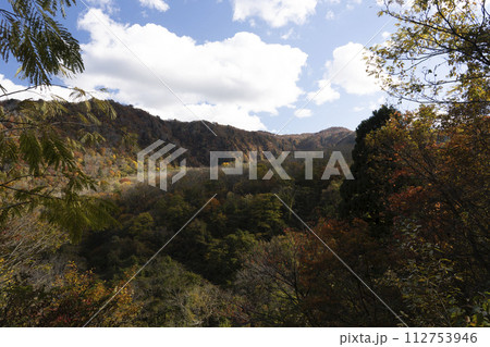 紅葉真っ盛りの医王山県立自然公園 112753946