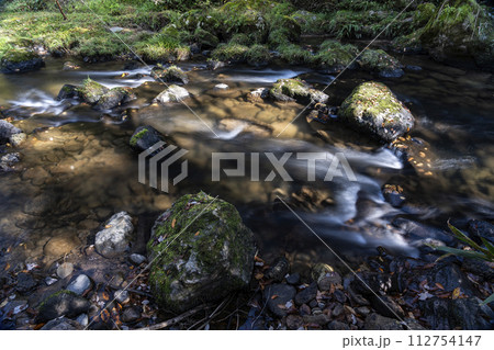 秋の清流風景・石川県小松市荒俣峡 112754147