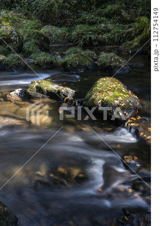秋の清流風景・石川県小松市荒俣峡 112754149