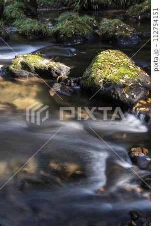 秋の清流風景・石川県小松市荒俣峡 秋の清流風景・石川県小松市荒俣峡 112754151