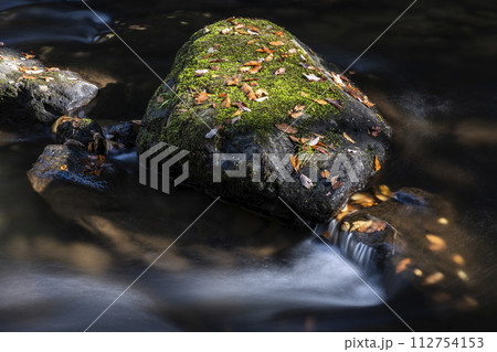秋の清流風景・石川県小松市荒俣峡 112754153