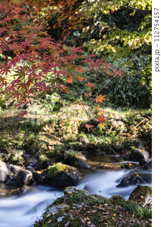 秋の清流風景・石川県小松市荒俣峡 秋の清流風景・石川県小松市荒俣峡 112754157
