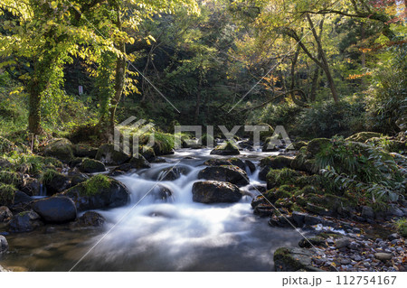 秋の清流風景・石川県小松市荒俣峡 秋の清流風景・石川県小松市荒俣峡 112754167