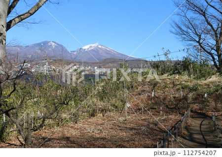 小諸城址懐古園から眺める浅間山 小諸城址懐古園から眺める浅間山 112754207