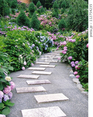 善峯寺に咲いていた紫陽花 112754235