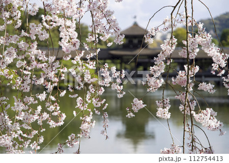 桜越しの泰平閣 桜越しの泰平閣 112754413