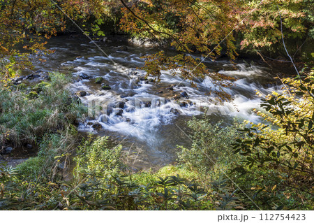 加賀温泉郷山中温泉の景勝地・鶴仙渓 加賀温泉郷山中温泉の景勝地・鶴仙渓 112754423