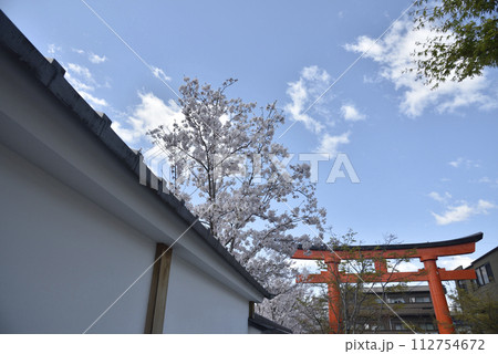 サクラと伏見稲荷 サクラと伏見稲荷 112754672