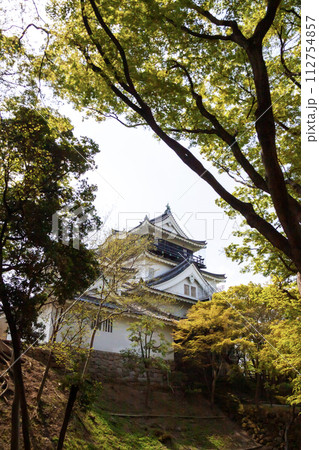 青海堀から見た岡崎城天守閣 112754857