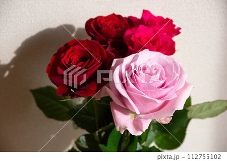 赤とピンクのばら 112755102