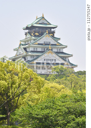 大阪城の天守閣 112755247