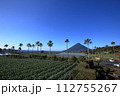 菜の花畑と薩摩富士と称される開聞岳 112755267