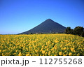 菜の花畑と薩摩富士と称される開聞岳 112755268